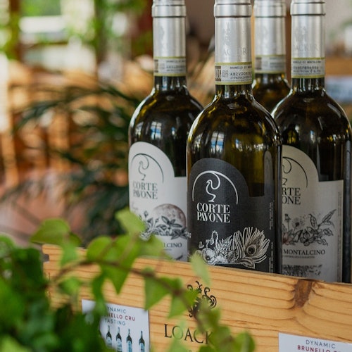 wine tasting montalcino