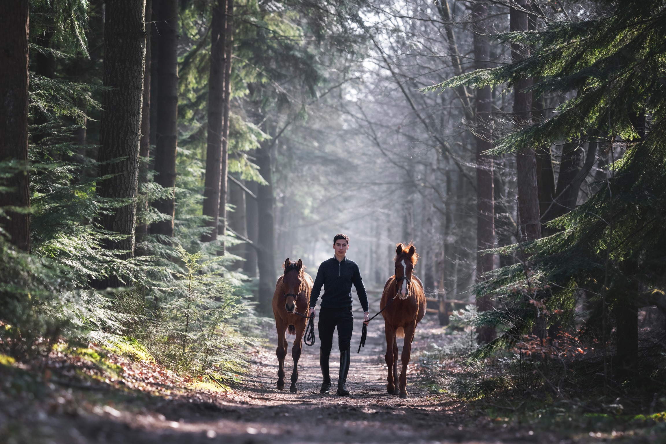 walking two crossbred foals 