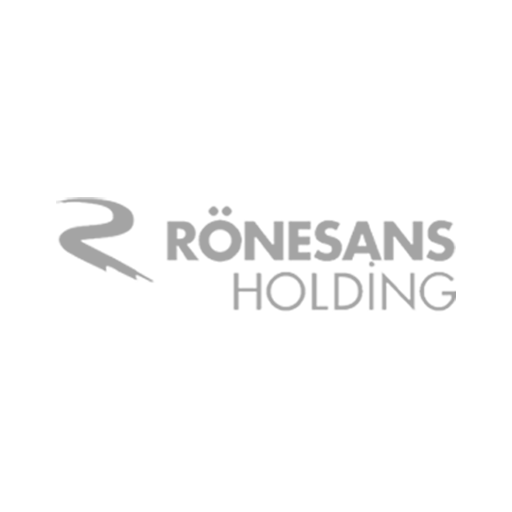 Ronesans Holding logo