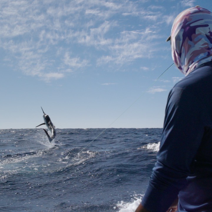 Person, holding a white rose behind his back with one arm on a light blue background