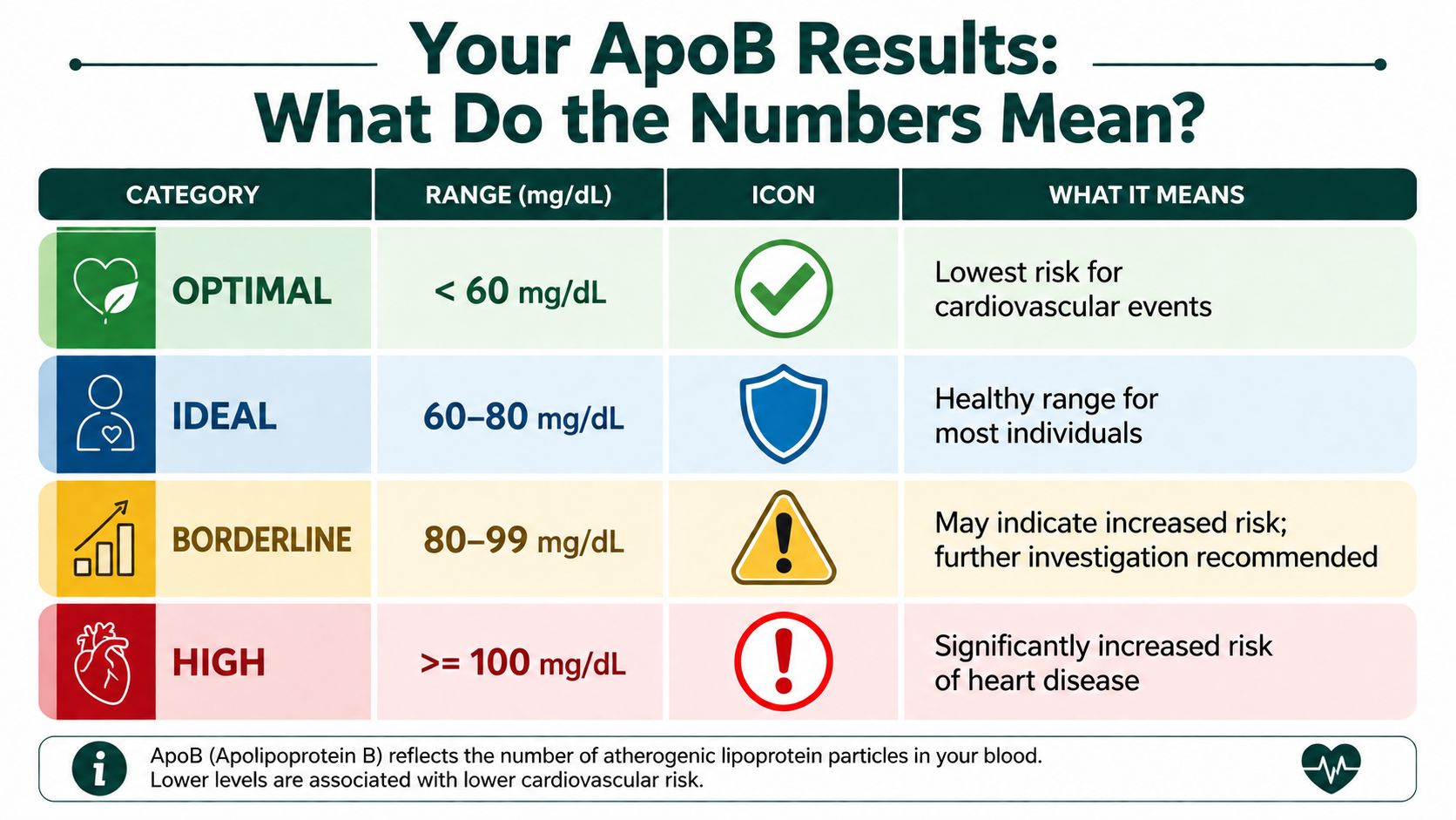 A chart explaining ApoB cholesterol test result ranges from optimal to high risk for cardiovascular disease.