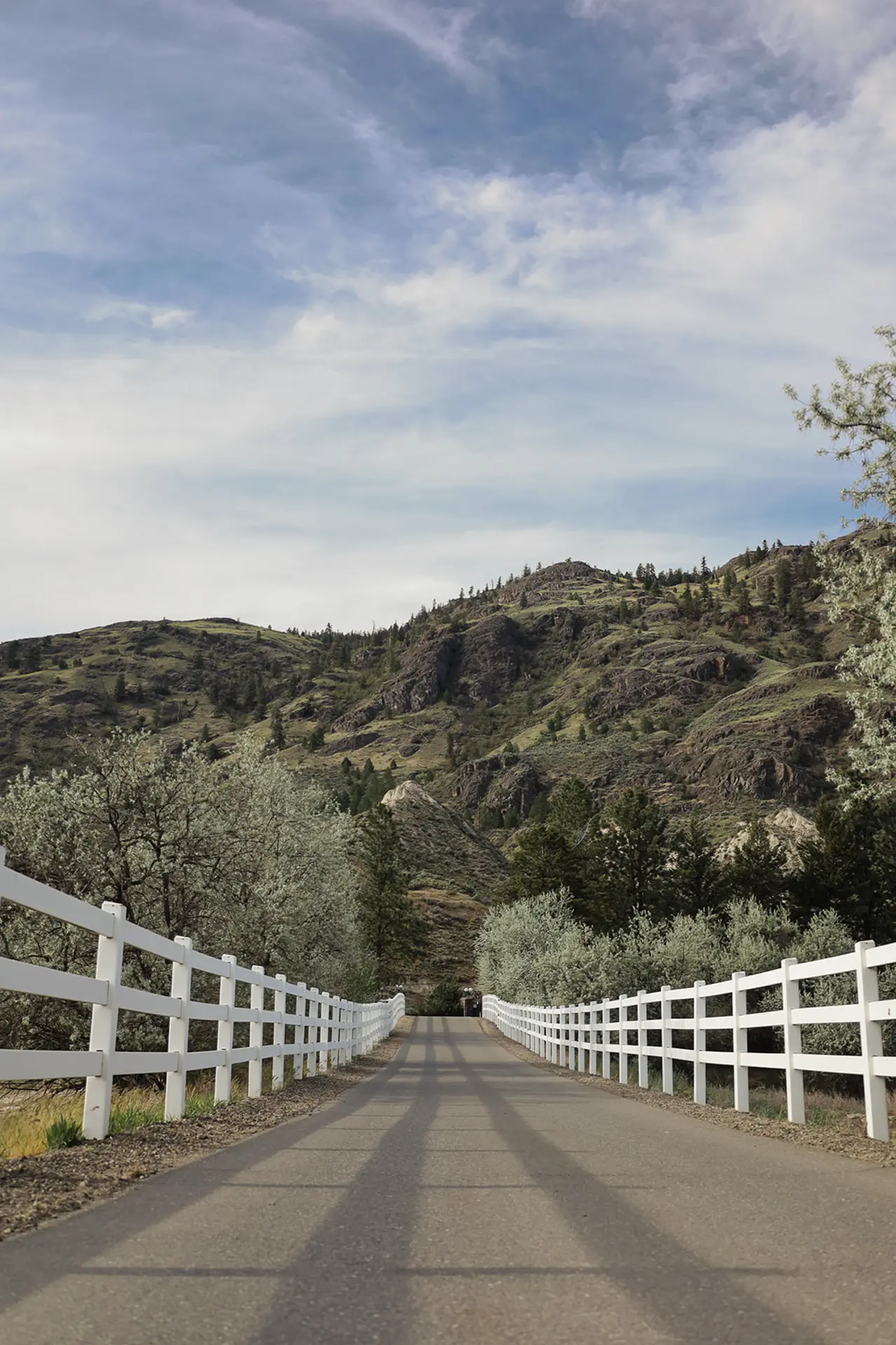 A scenic road with white fences on both sides leading to a tunnel, surrounded by trees and hills.