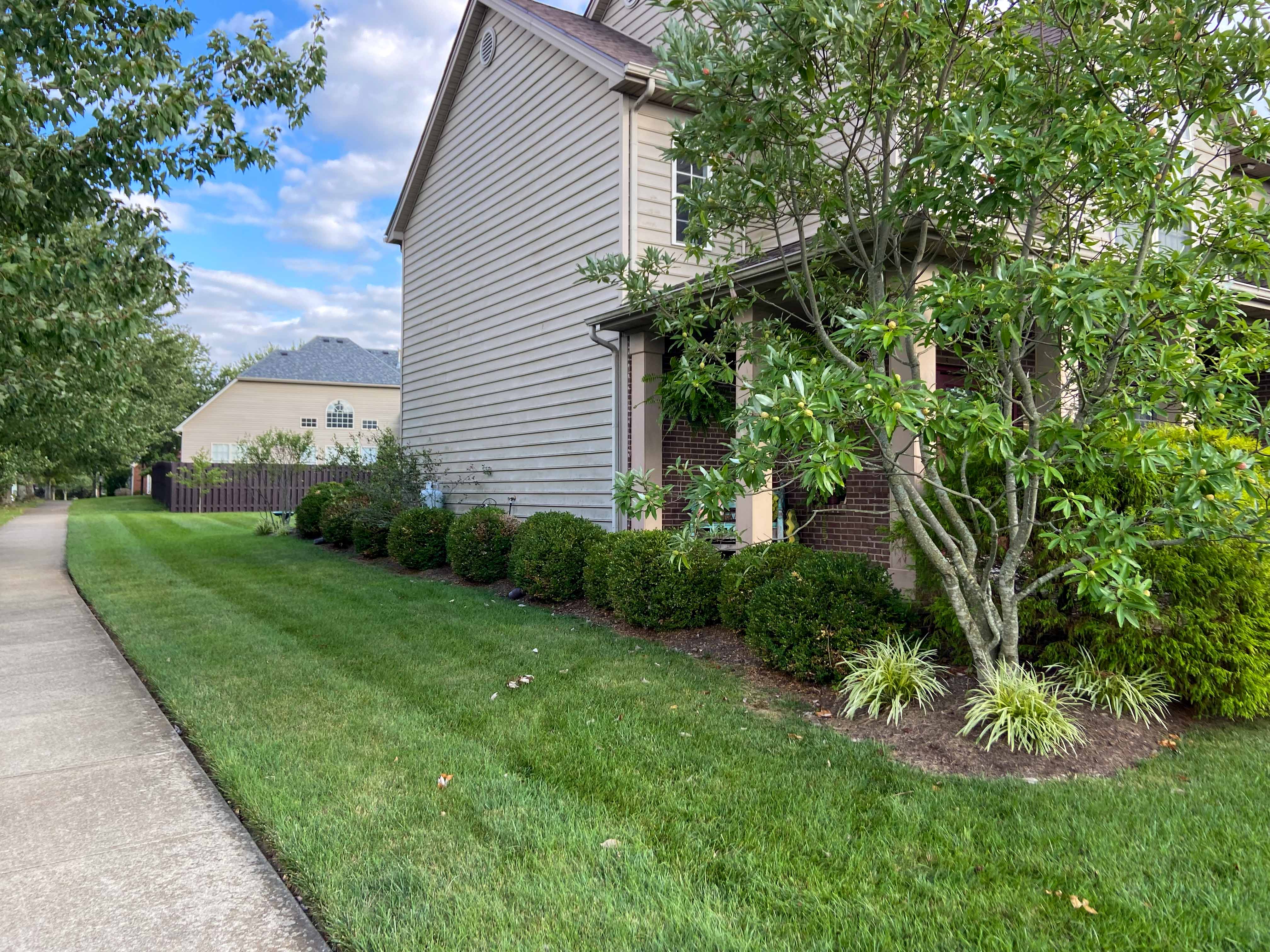 landscaping project completed in lexington ky