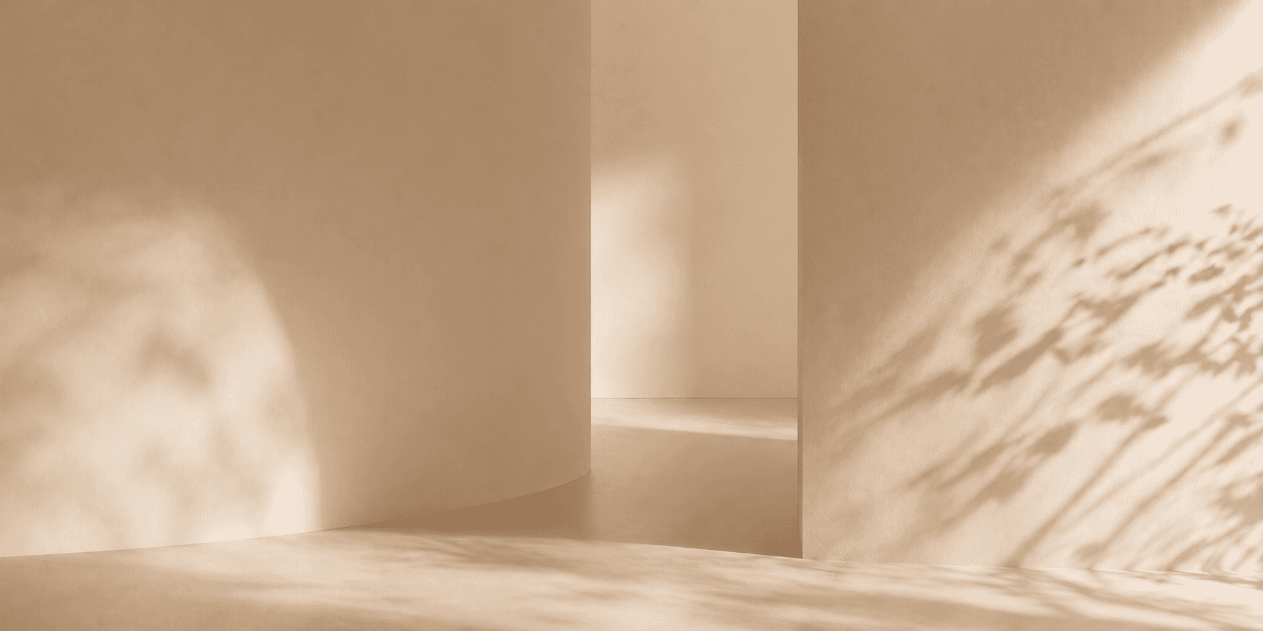Minimalistischer Raum mit sanften Schatten von Pflanzen auf hellem Hintergrund