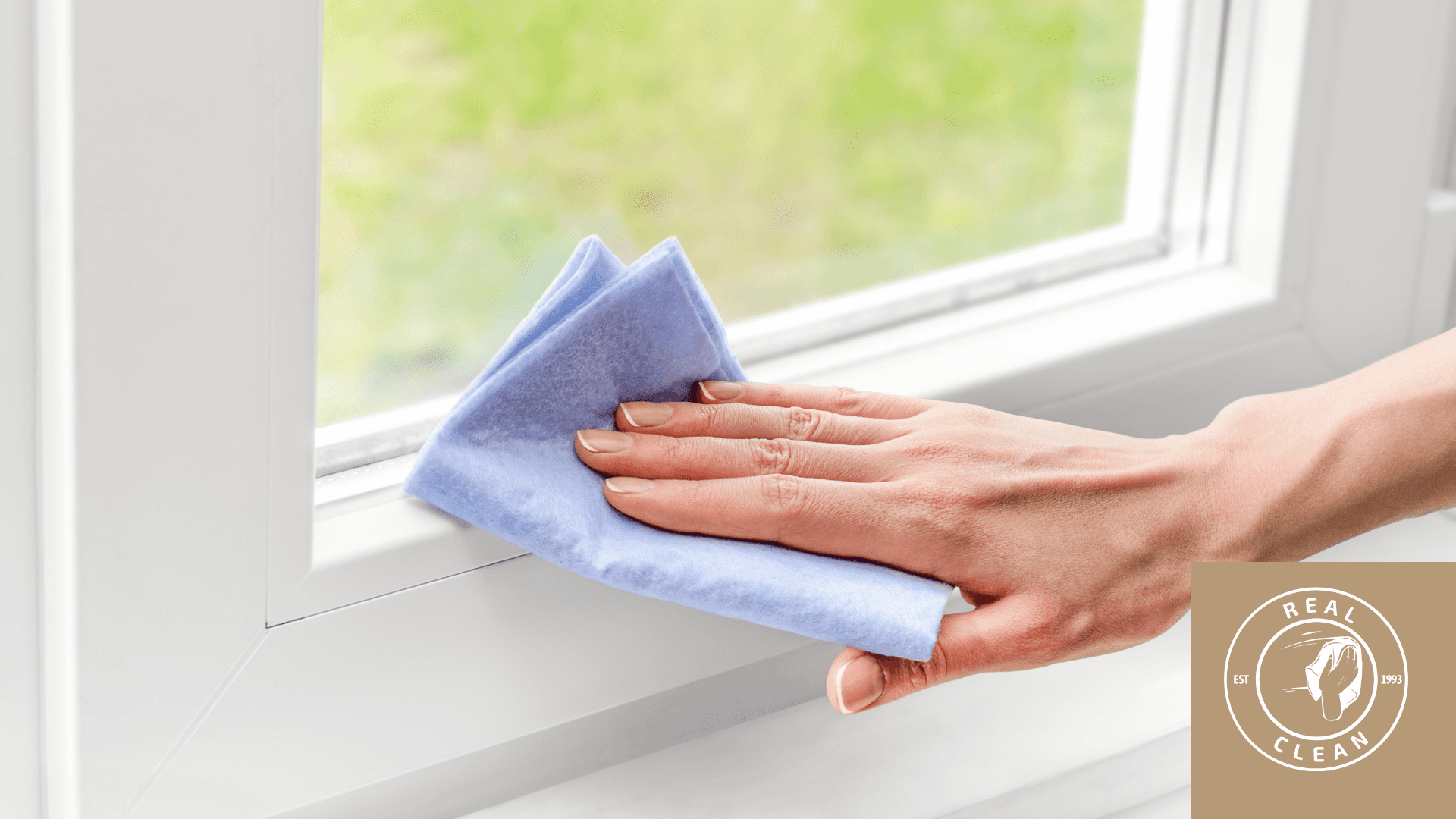 cleaning window pane