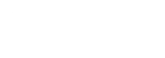 Google Pay logo