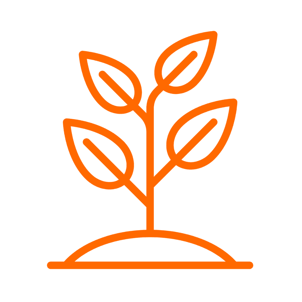 Võrsuv taim, mis on nooruspõlve sümbol