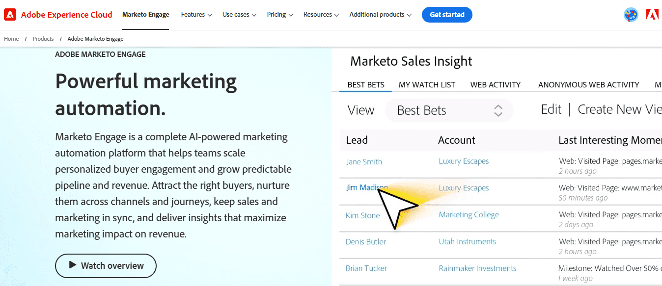 marketo - Automated Lead Generation