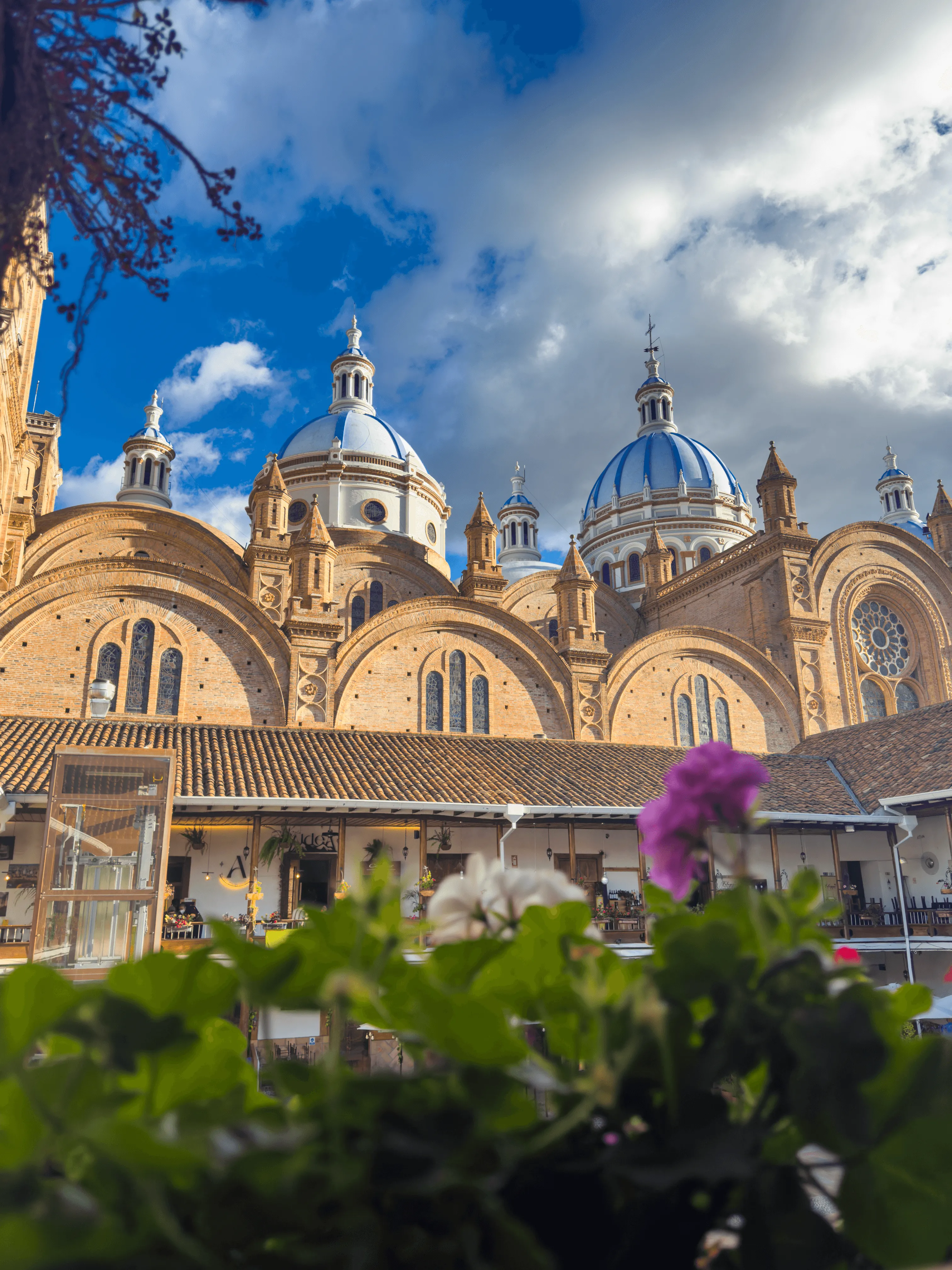 Catedral de la Inmaculada Concepción prise de Plaza de los Geranios Colgantes
