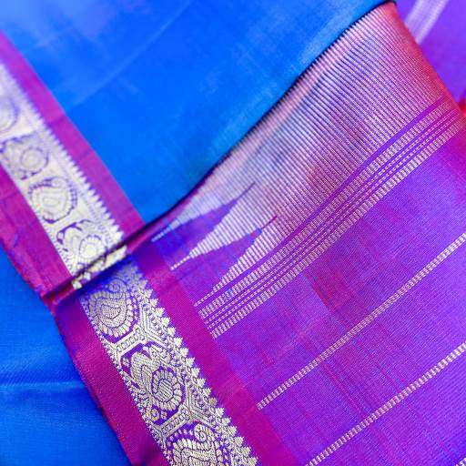 Peacock Blue and Pink manga border Kanchivaram Silk Saree