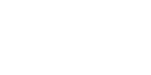 Brand that uses Lupa AI