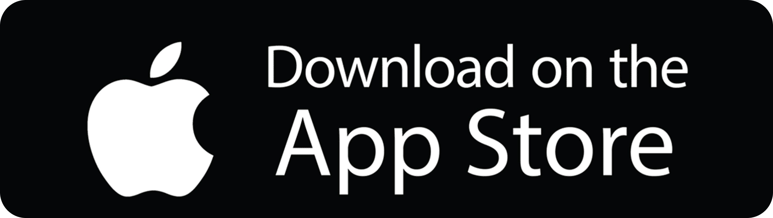 Google Play Store