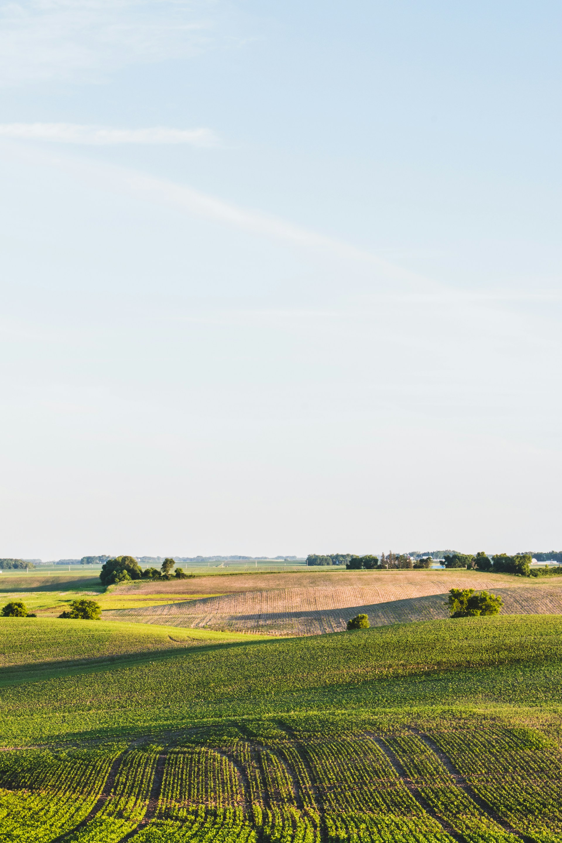 Farm land