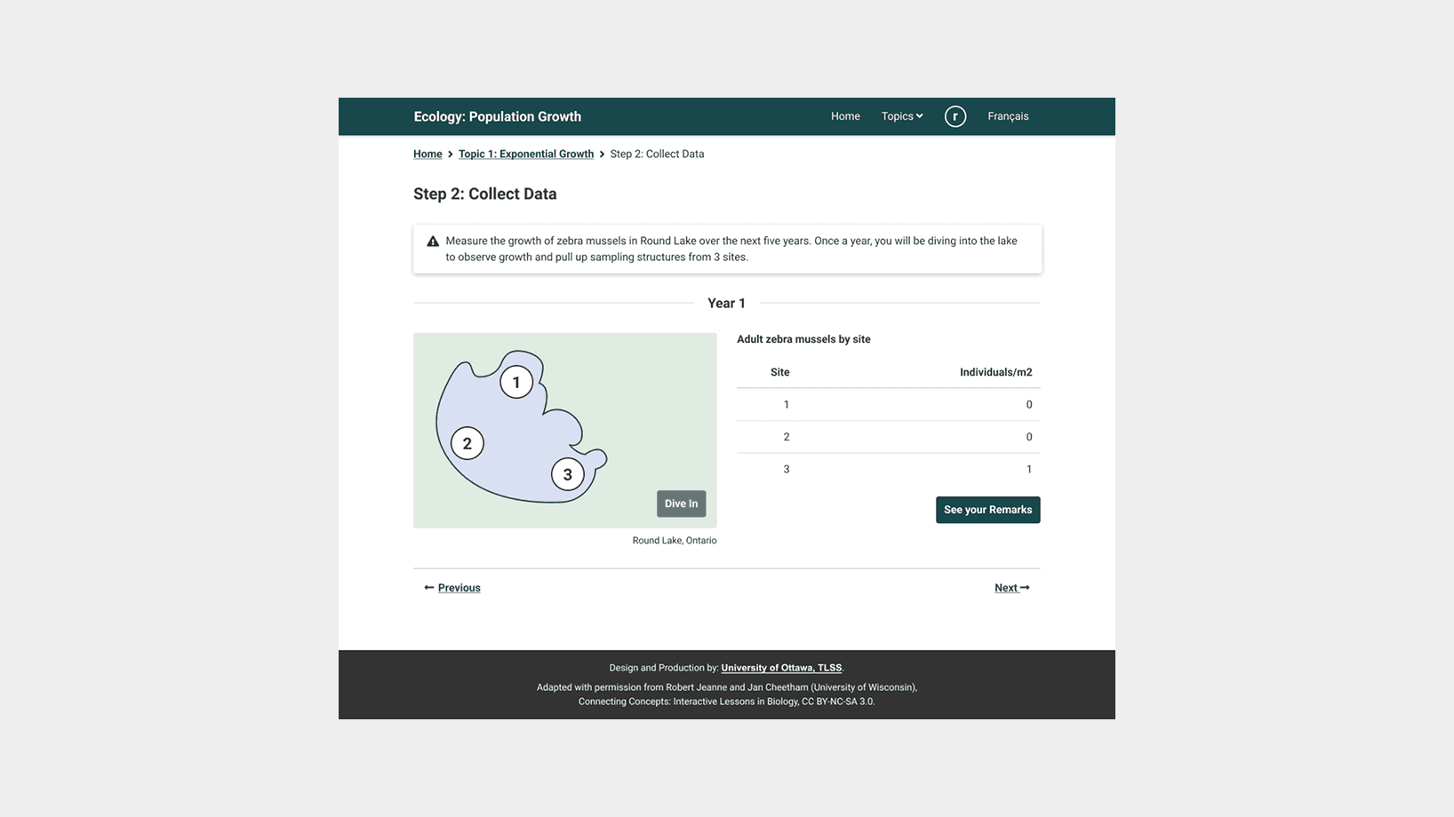 Screenshot of the redesigned lesson with breadcrumb ‘Home > Topic 1: Exponential Growth > Step 2: Collect Data’ and heading ‘Step 2: Collect Data’. A warning box instructs users to measure zebra mussel growth in Round Lake, Ontario over the next five years. Below, a pale-green stylized map of Round Lake marked ‘Year 1’ shows three white circles numbered 1, 2, 3 and a ‘Dive In’ button. To the right, a table titled ‘Adult zebra mussels by site’ lists Site 1: 0, Site 2: 0, Site 3: 1 with a ‘See your Remarks’ button. ‘Previous’ and ‘Next’ links appear beneath, and a dark footer credits the University of Ottawa, TLSs, and the original UW lesson under CC BY-NC-SA 3.0.