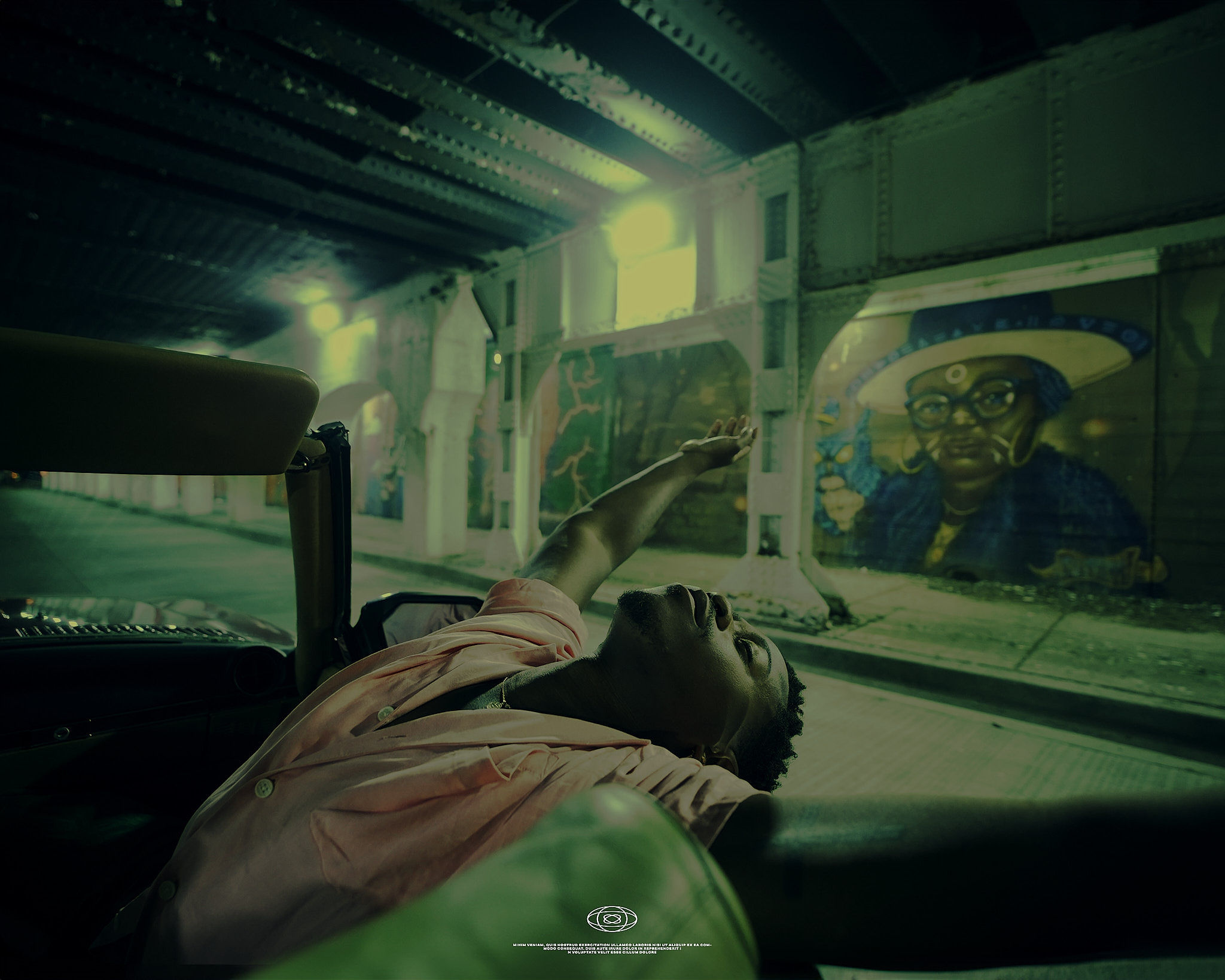 Various dried flowers and plants arranged on a light background.