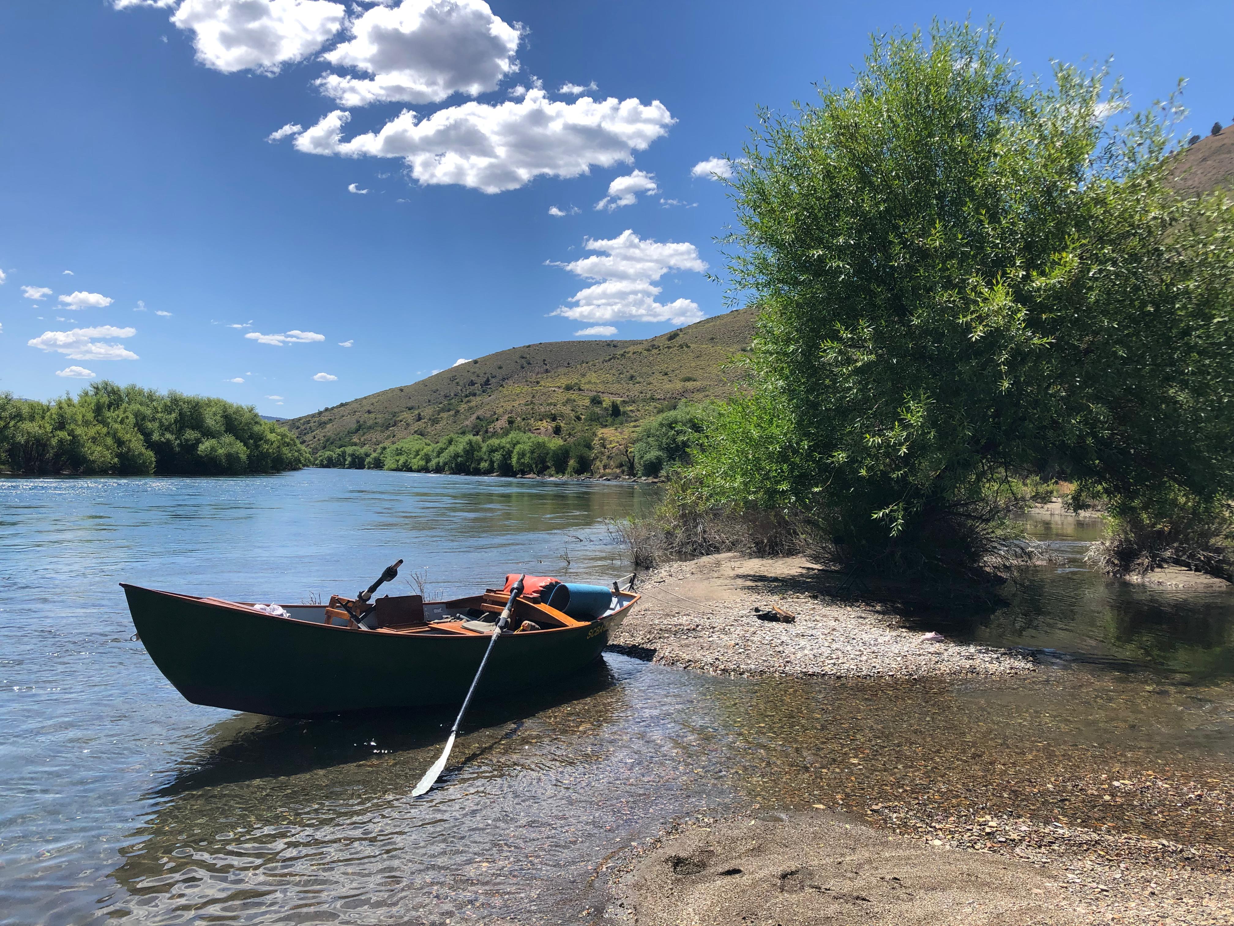 Experience legendary trout fishing on the Limay River, Patagonia, with expert guides."