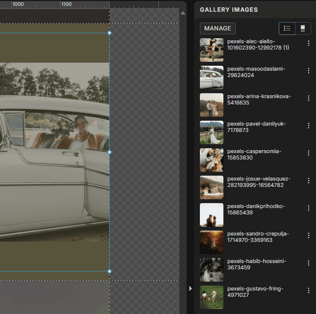 Gallery settings in showit