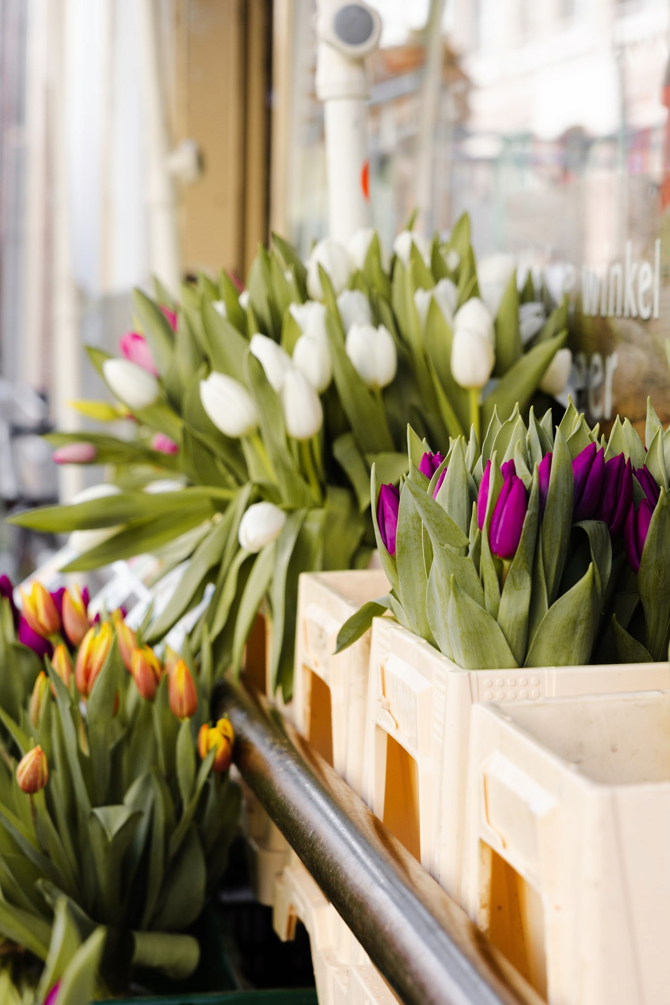 Levendige opname van een kleurrijke bos tulpen in Zutphen, vastgelegd in het voorjaar, met aandacht voor de details van de bloemen