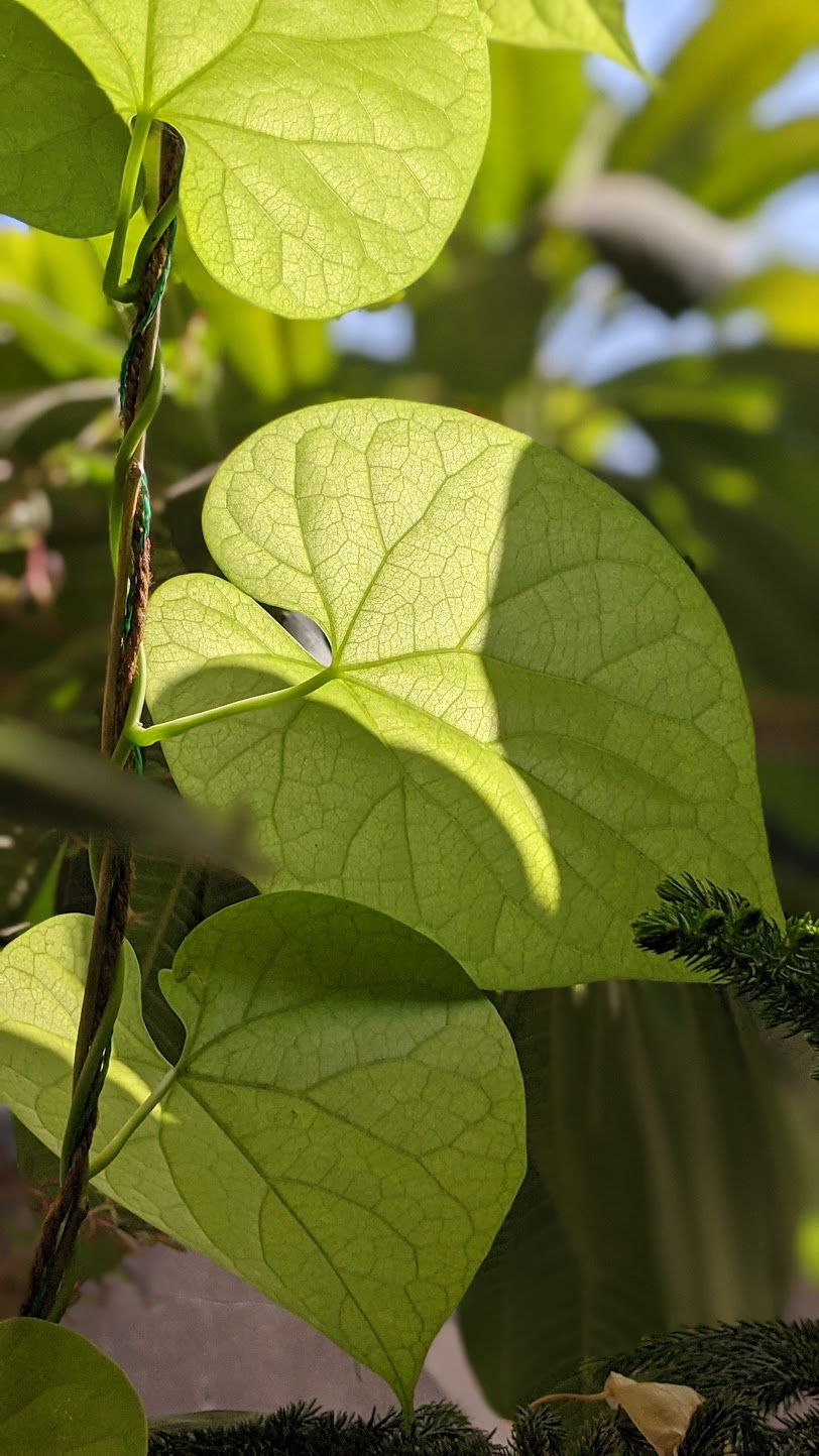 a building with persony windows