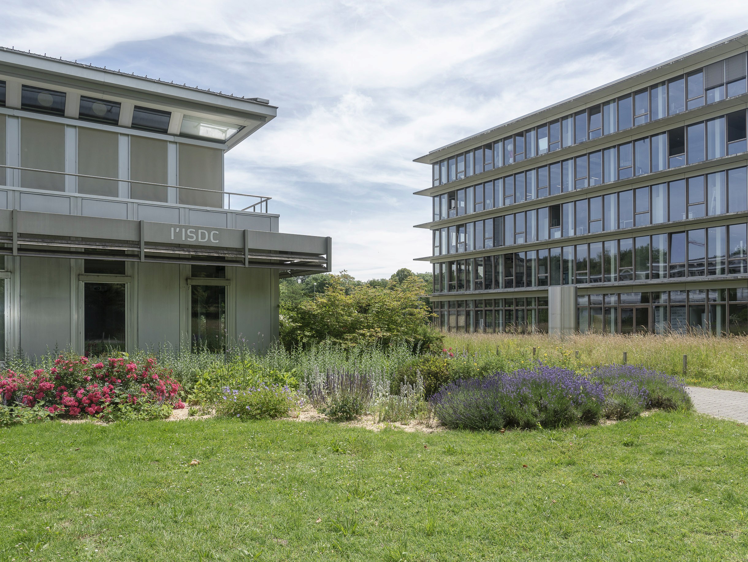 Parterre végétal et floral à l'Université de Lausanne entre les bâtiments de l'ISDC et celui des sciences du sport