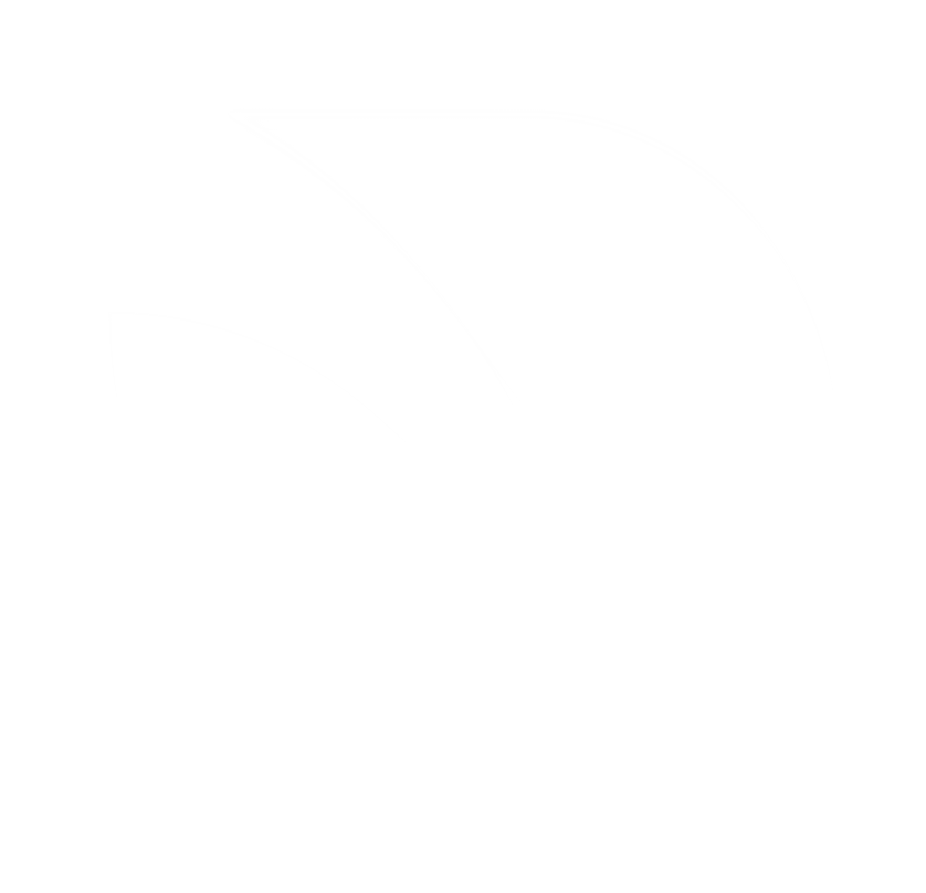 birdie logo light