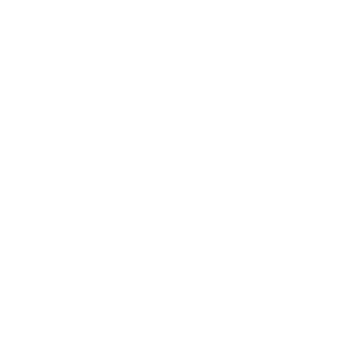 Logo Design Project for a Client