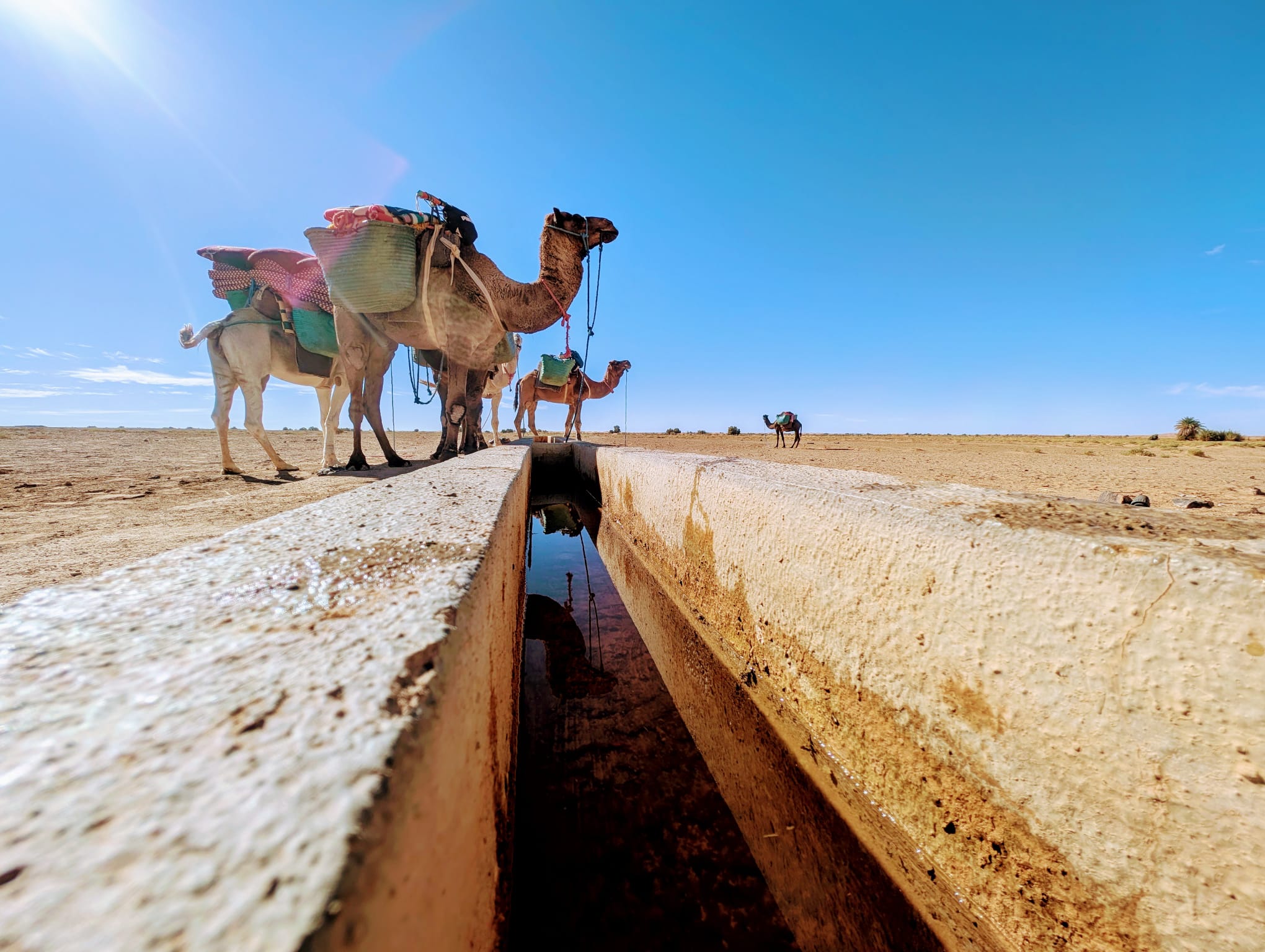 a woman holding an apple