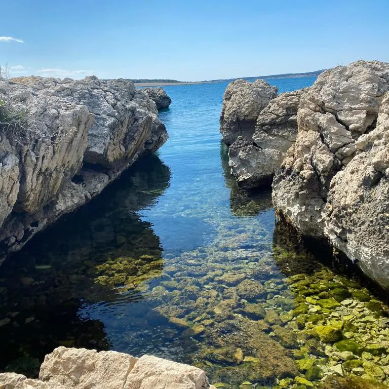 A smiling woman with her arms crossed, standing against a dark green background. She has long, dark hair.