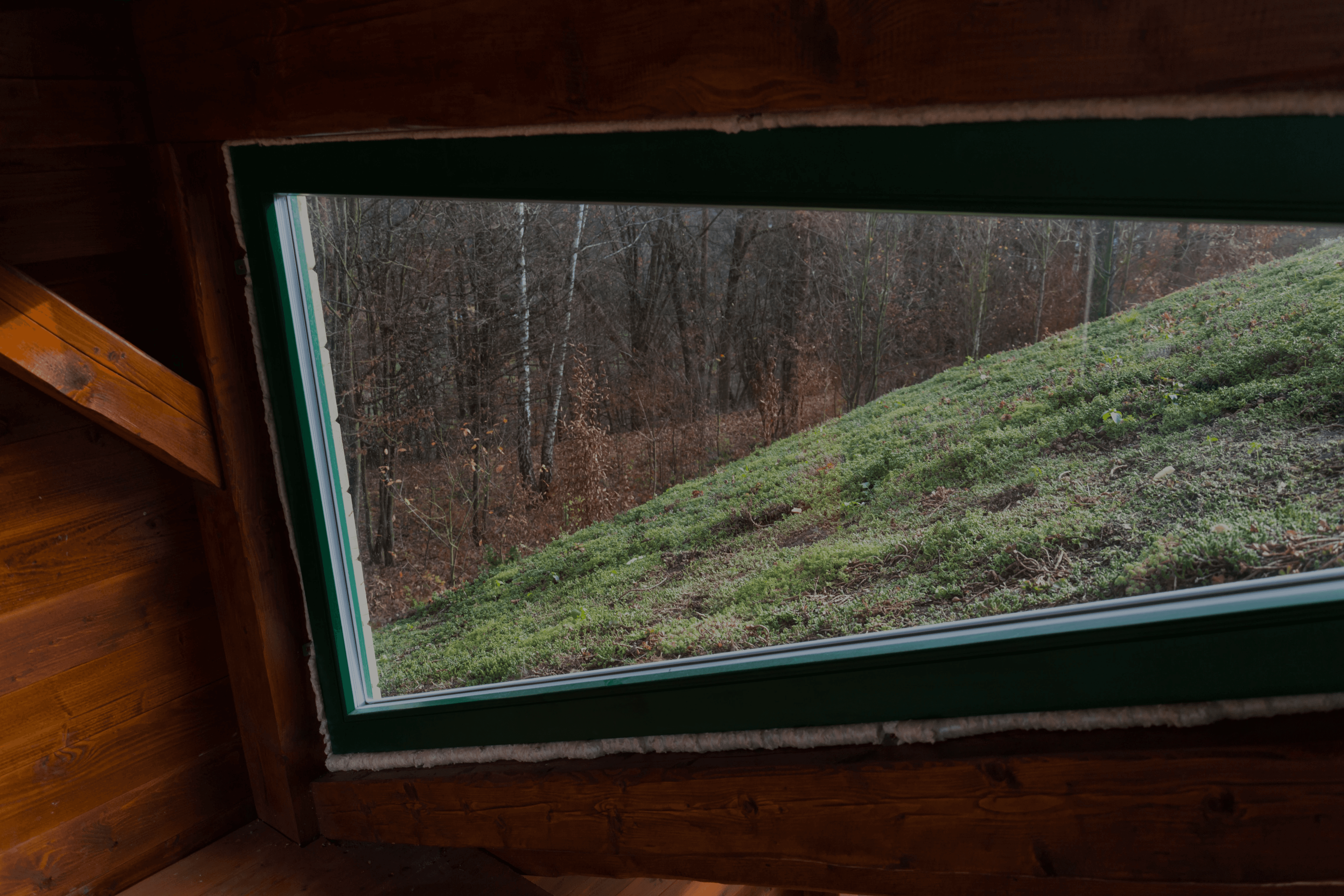 toiture extensive au sedum