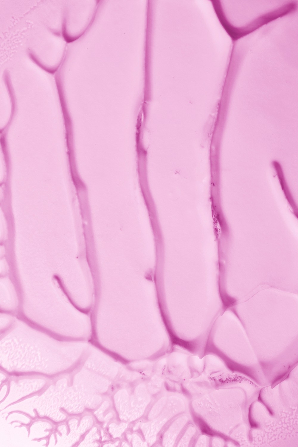 brain fog support hormonal changes support