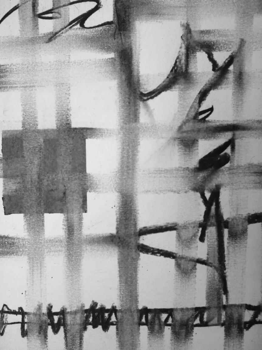 Compressed image