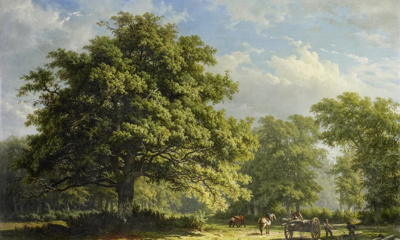 Bellevoire Architecture design