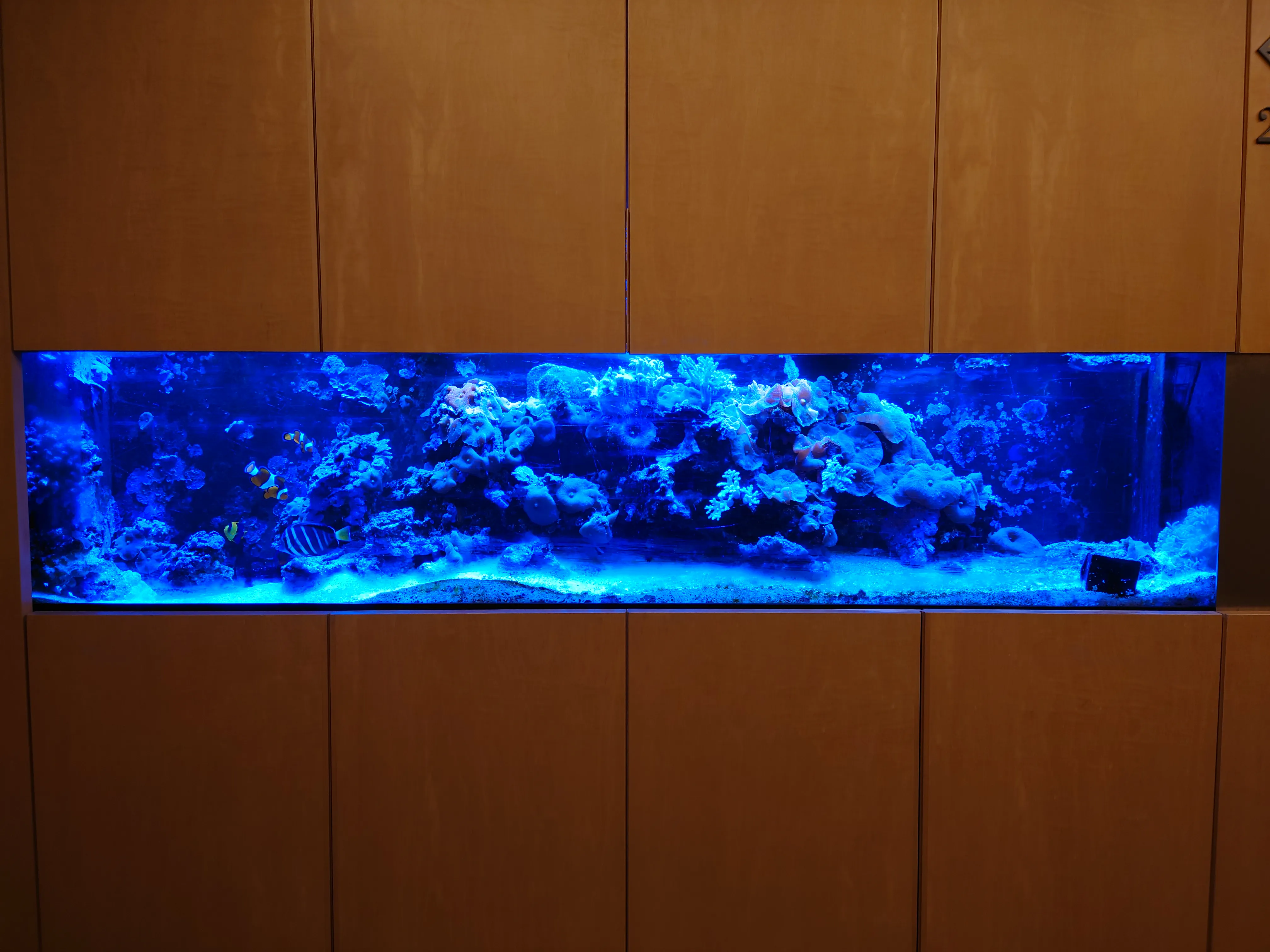 水槽・アクアリウム設計施工の専門会社｜20年以上の実績｜株式会社
