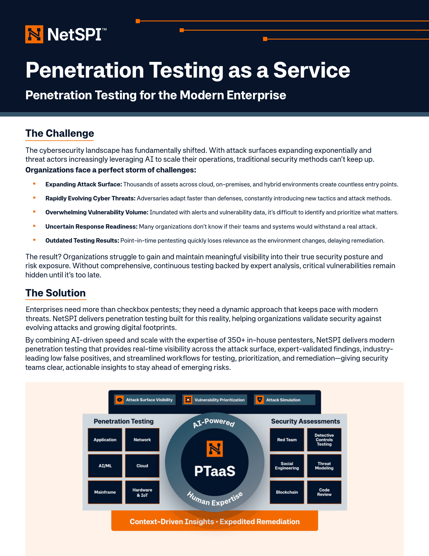NetSPI official PTaaS overview showing its application, network, AI/ML, cloud, mainframe, hardware, and security-assessment coverage