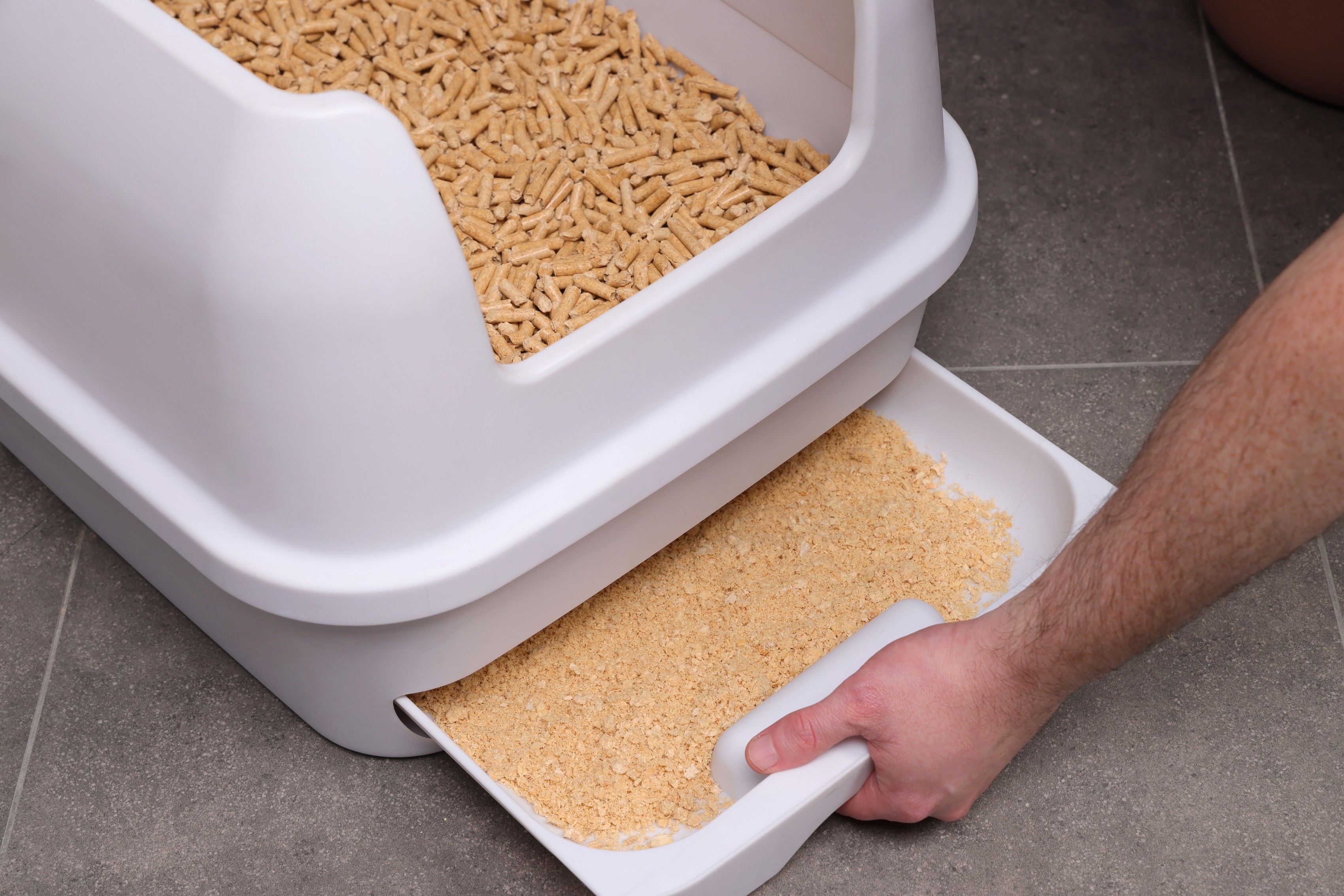 A person cleans a white, Treasured Pals Premium Sifting Litter System with a scoop, removing waste to reveal fresh litter pellets, on a gray tiled floor next to a potted plant.