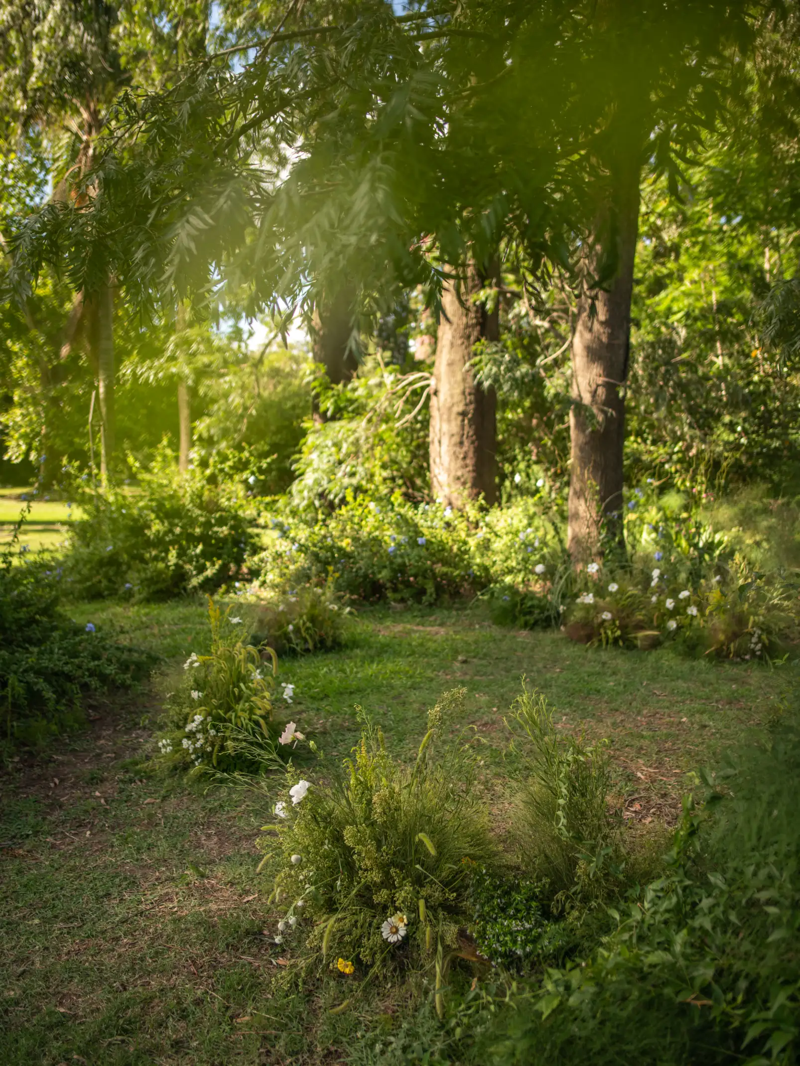 Camino natural con arreglos de flores blancas entre árboles para ambientación botánica de ceremonia exterior.