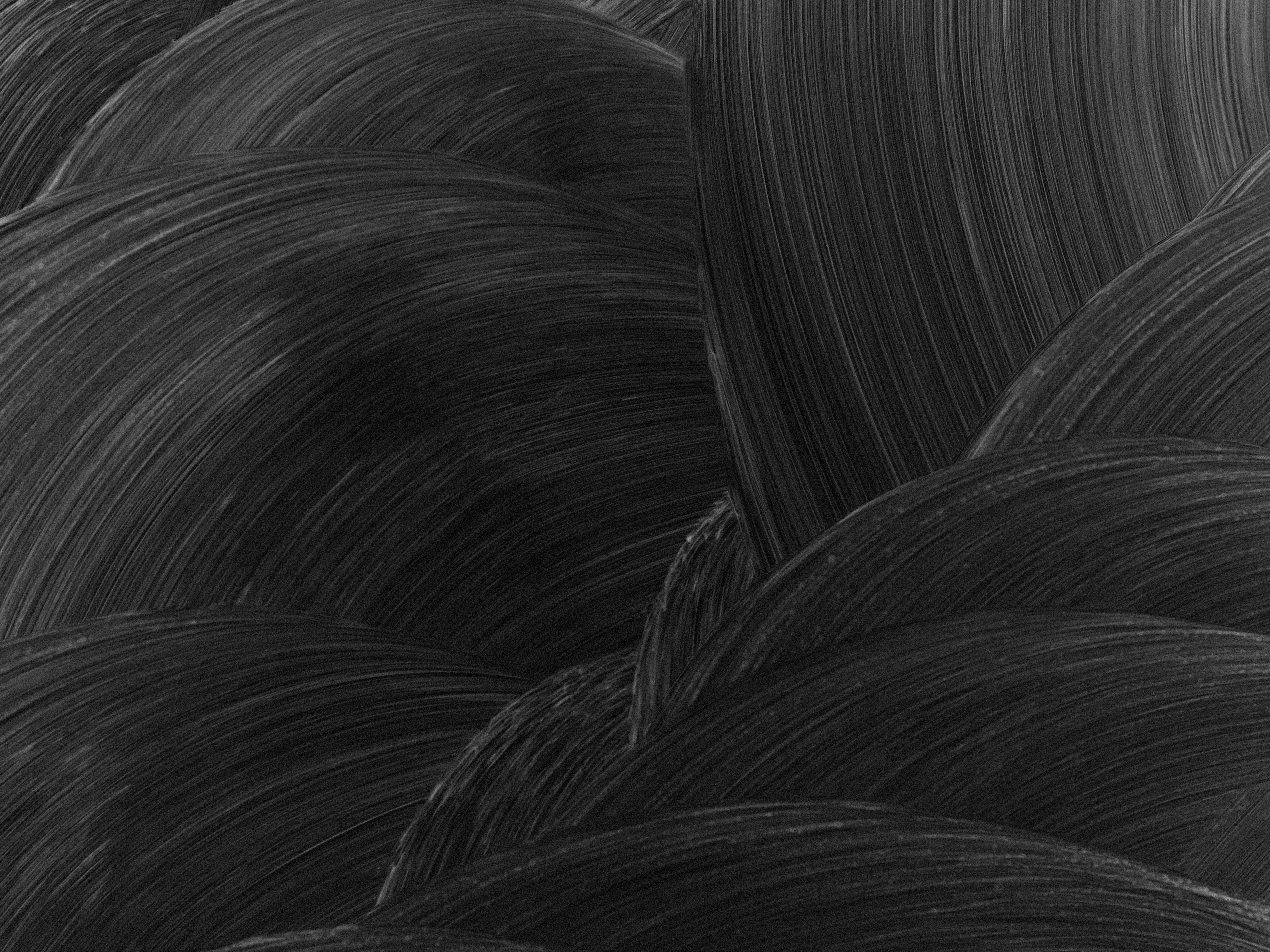 A black and white photo of a bunch of hair