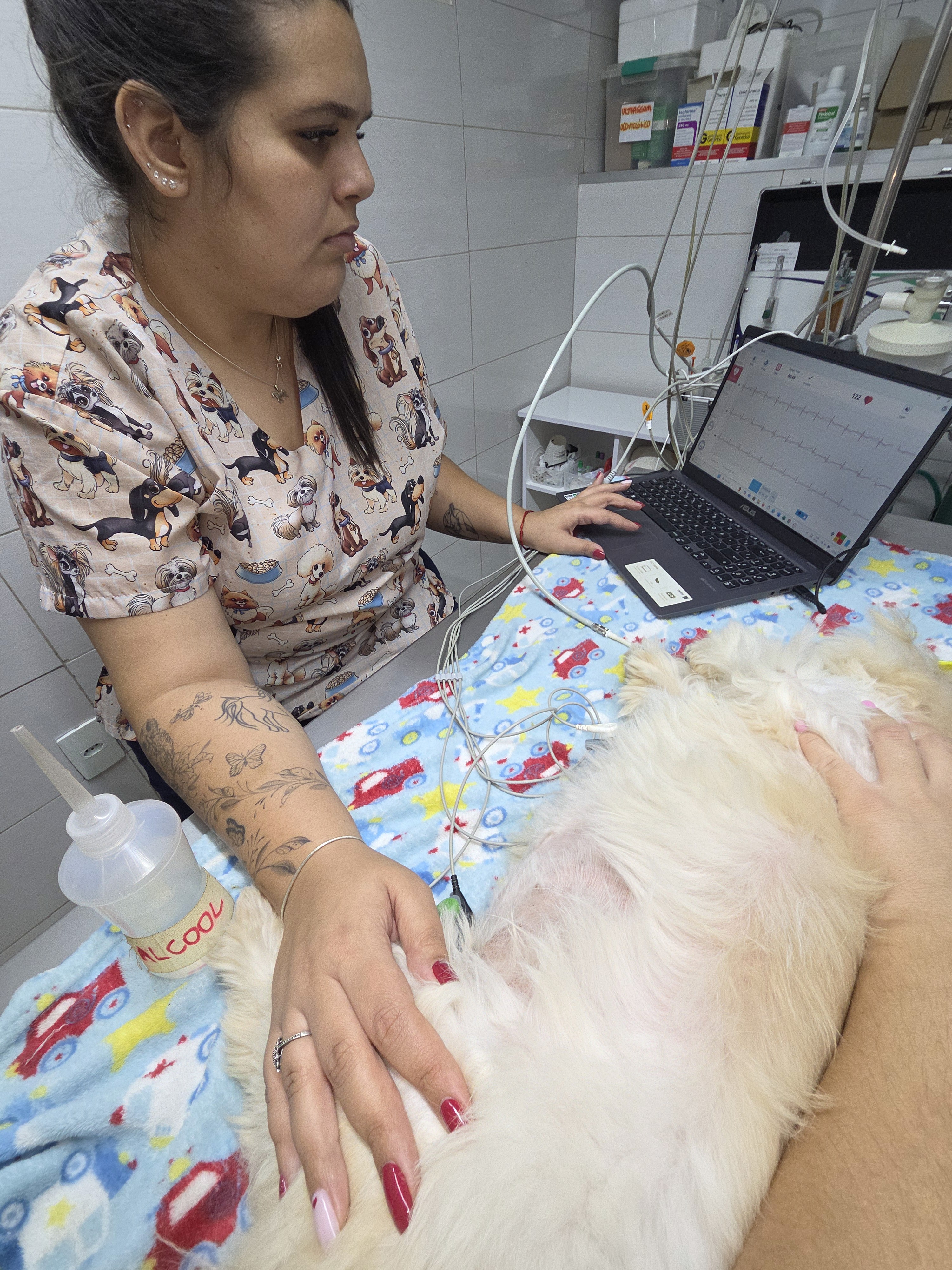 eletrocardiograma em animais