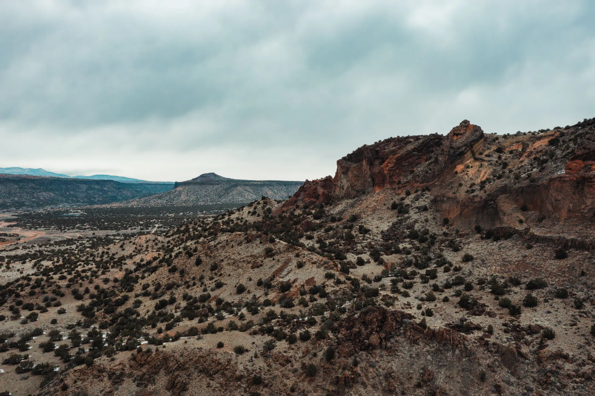 Rio Rancho NM desert landscape. Licensed garage door repair service.