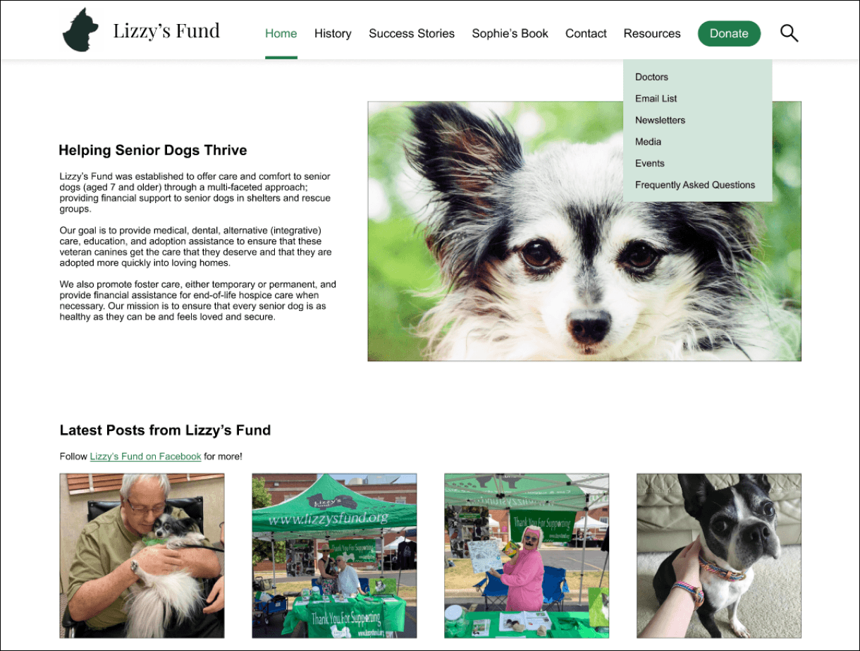 High-fidelity homepage wireframe