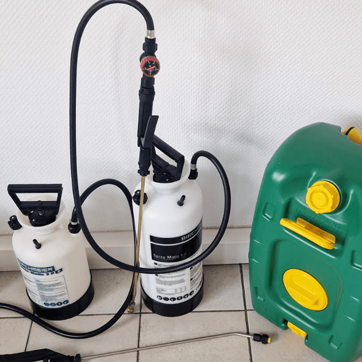 Punaises de lit sur un matelas infesté à Paris lors d'un traitement de punaises de lit