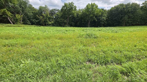 Photo 3 of 4795 Steiger Lane, Waterloo