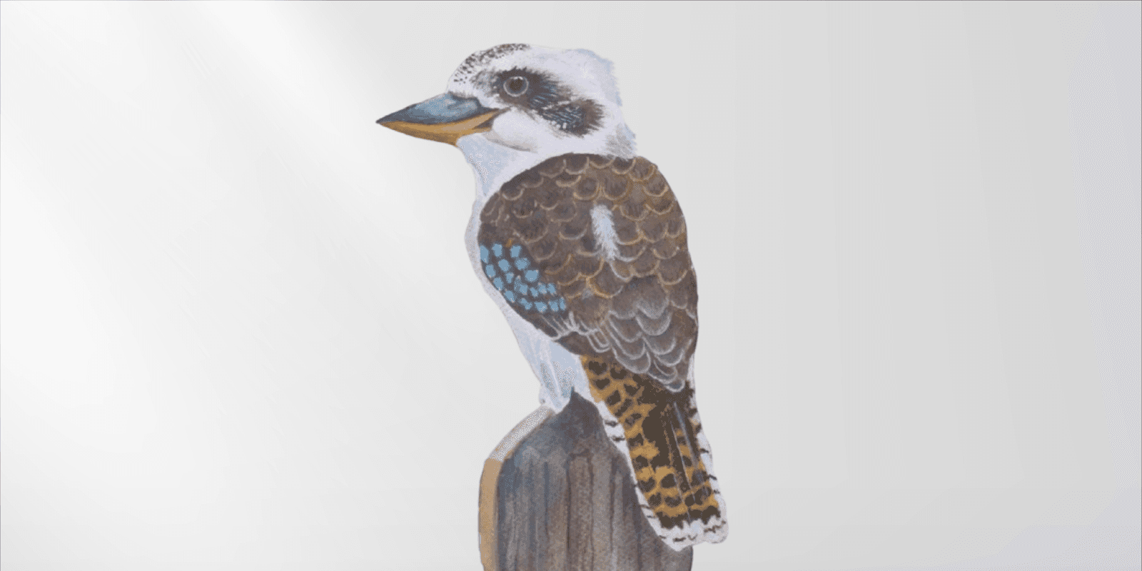 Les Peterkin's 'Laughing Kookaburra' painting, celebrating resilience and Australian artistry, displayed at the Bid Barn Auction House.