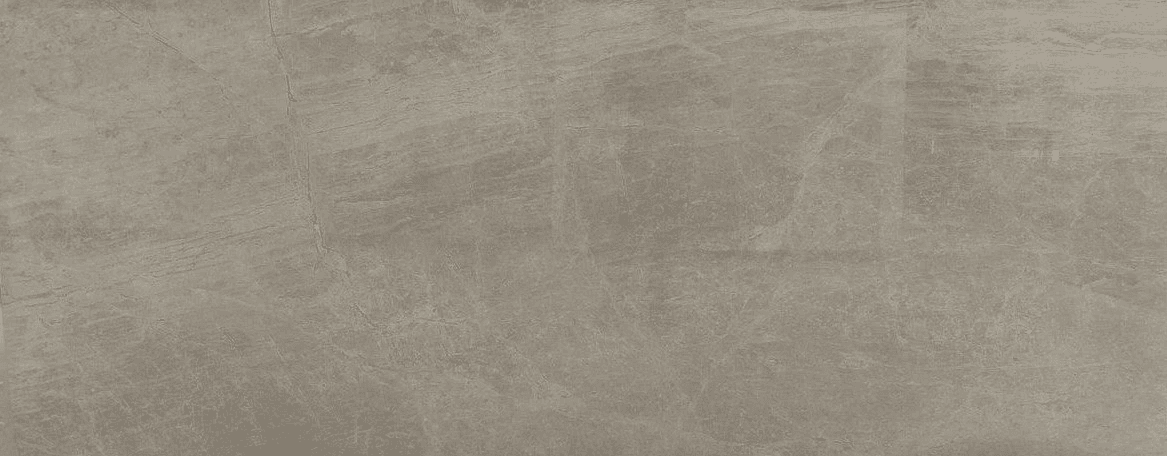 Spider Grey