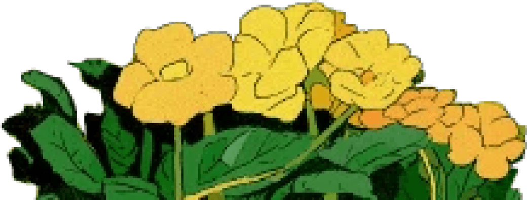 Illustration of bright yellow flowers with green leaves.