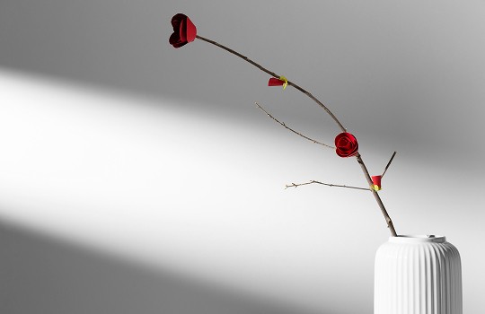 Minimalistic red flower