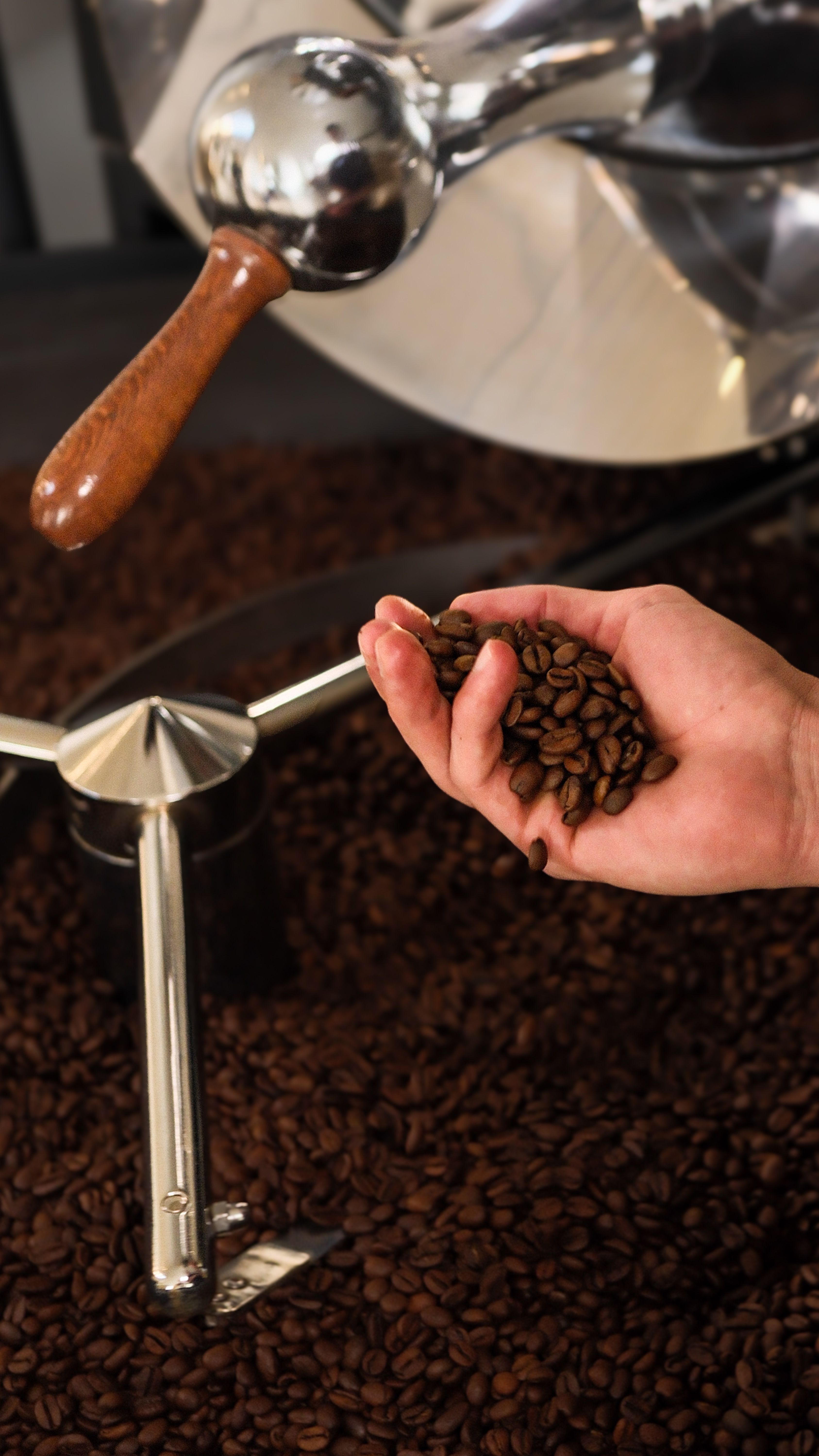 Roastery Tour & Tasting at Common Ground