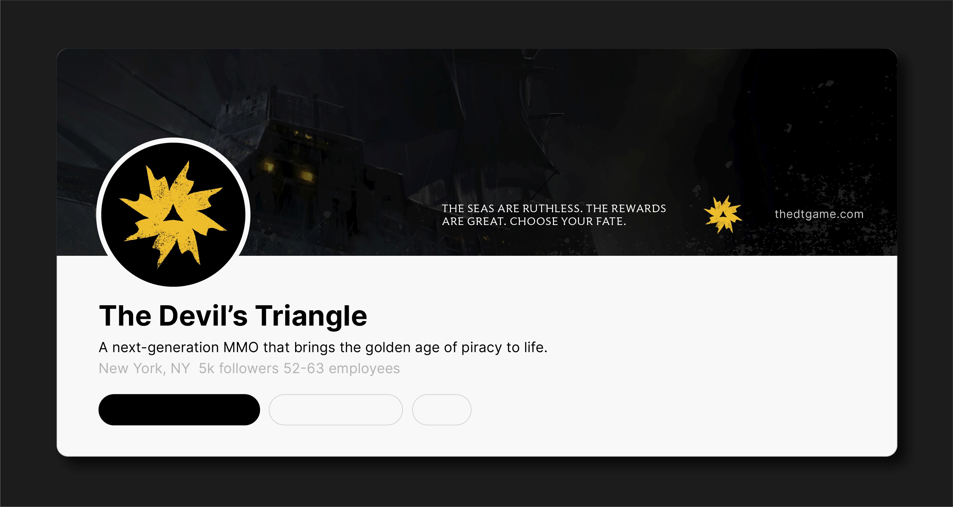The Devil’s Triangle LinkedIn company page mockup featuring a dark pirate ship banner, gold vortex-inspired logo, and branding for the pirate-themed MMO game.