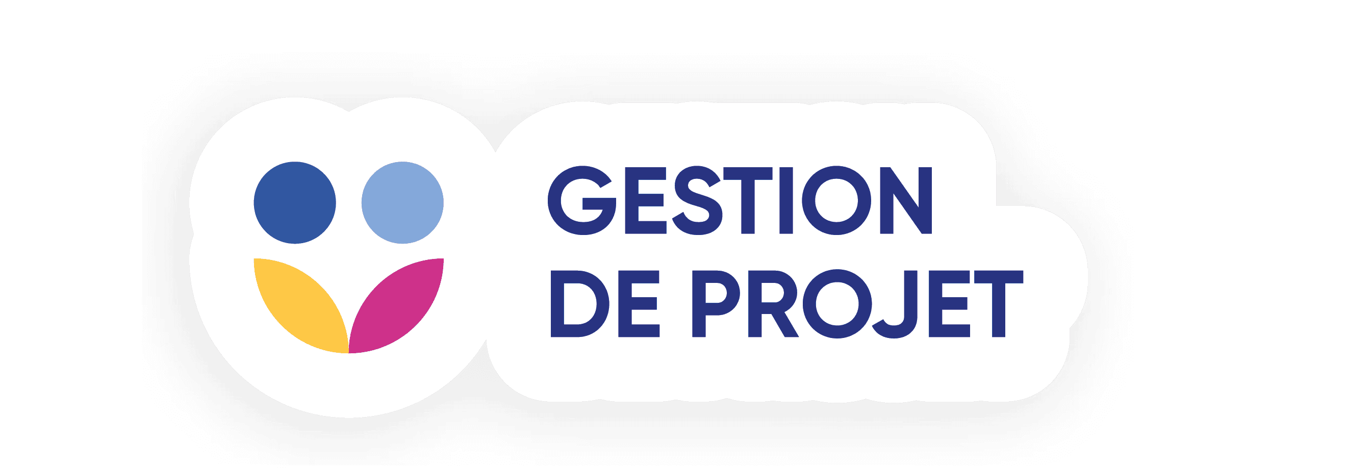 Icone de compétence gestion de projet 