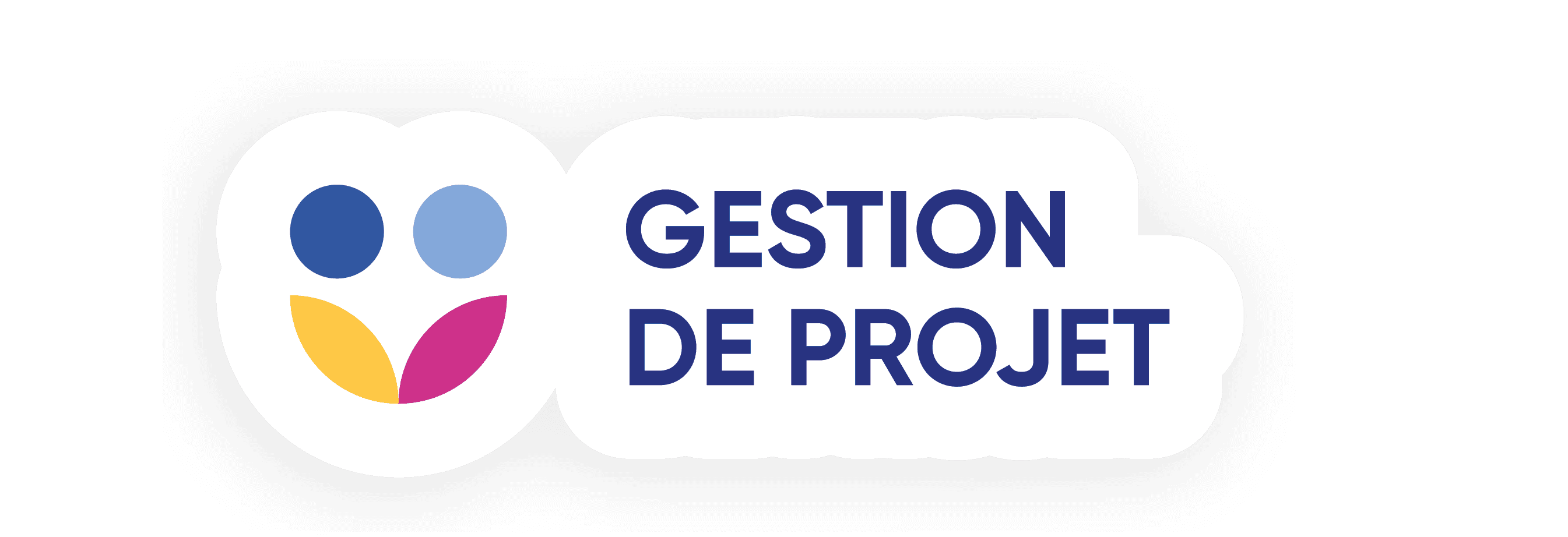 Icone de compétence gestion de projet